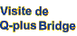 Visite de Q-plus Bridge